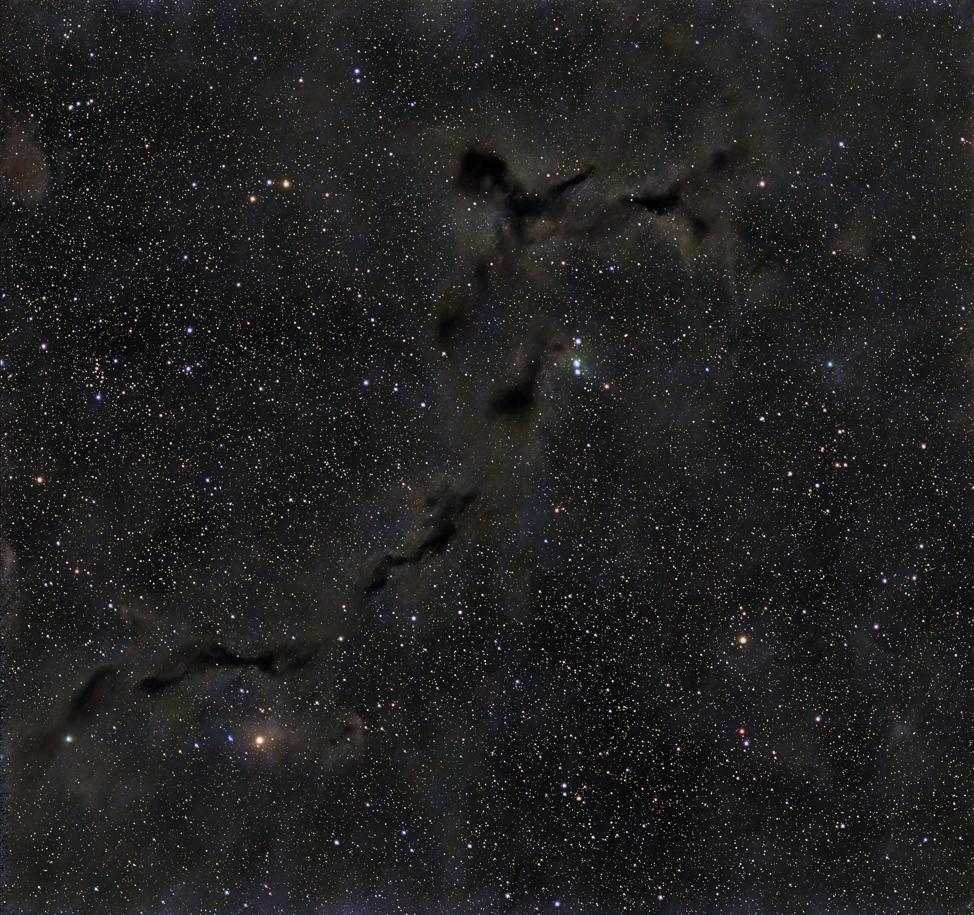 Seepferdchen Nebel, Barnard 150 ist ein Dunkelnebel im Sternbild Kepheus.